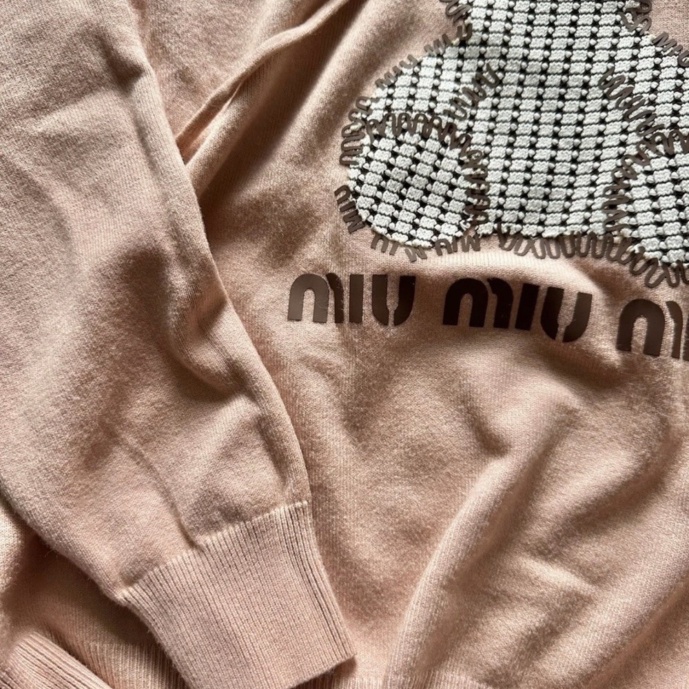Miu Miu Blush Pink Teddy Pullover Hoodie - Picture 5 of 5